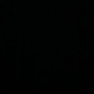 Meet your Posher, Frank